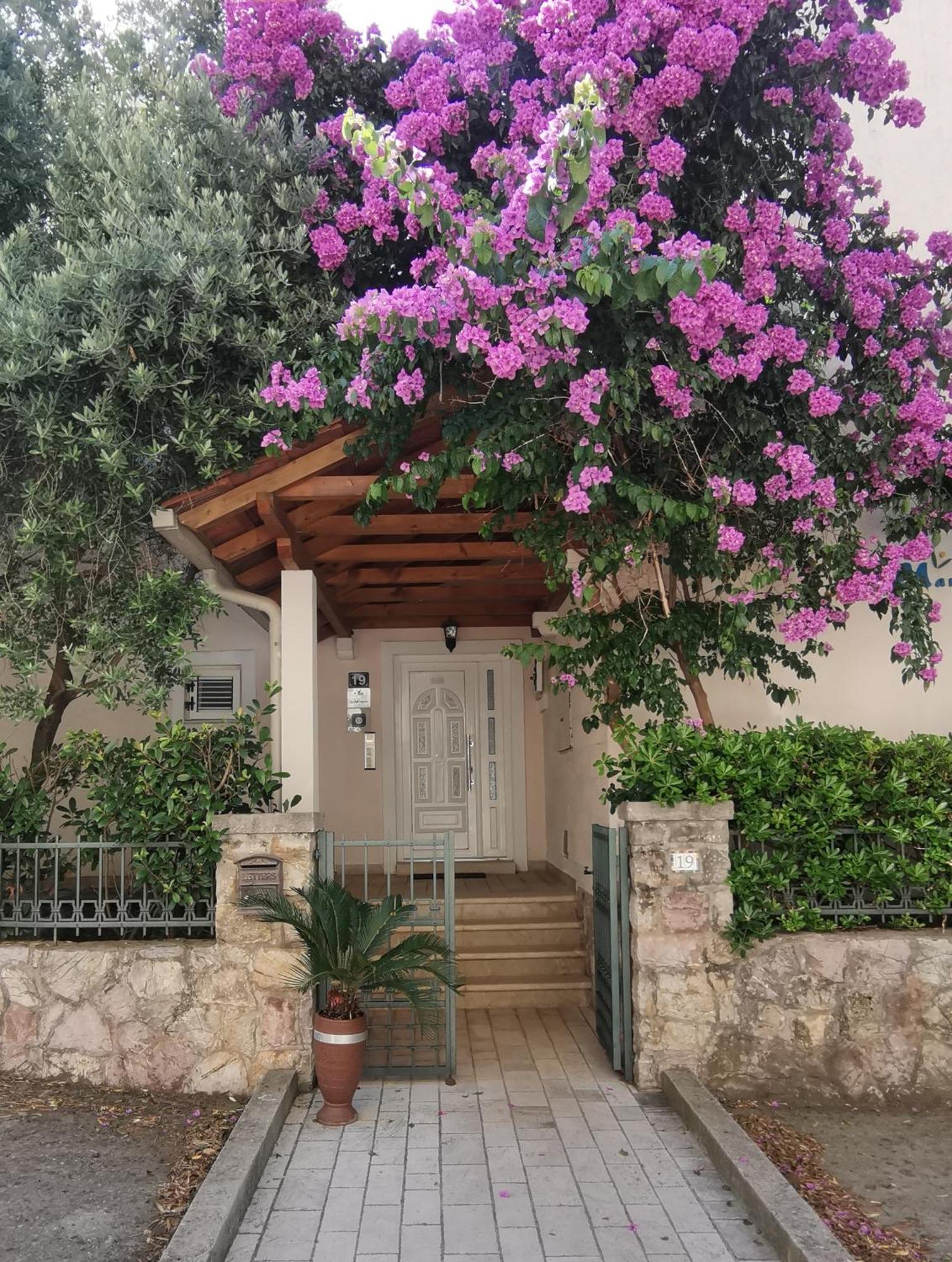 Apartments Maris Petrovac Kültér fotó